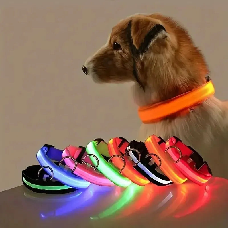 LED Dog Leash & Collar – Nylon Glow-in-the-Dark Safety Set for Night Walks