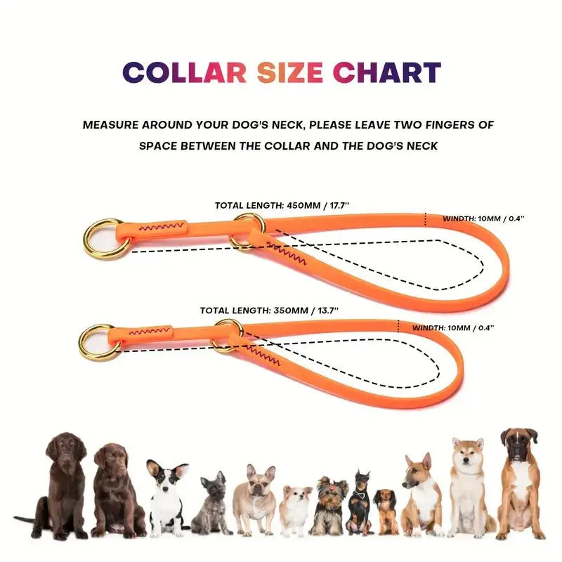 Waterproof P Chain Dog Collar – Easy-Clean Training Collar for Small & Medium Dogs