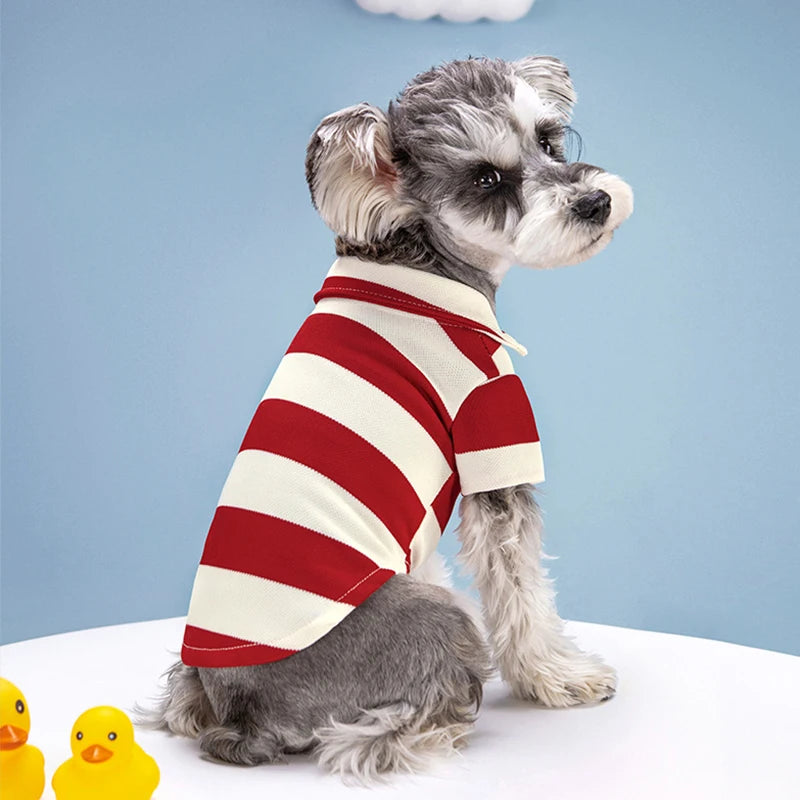 Breathable Summer Dog T-Shirt – Lightweight Pet Shirt for Small to Large Dogs (XS–4XL)