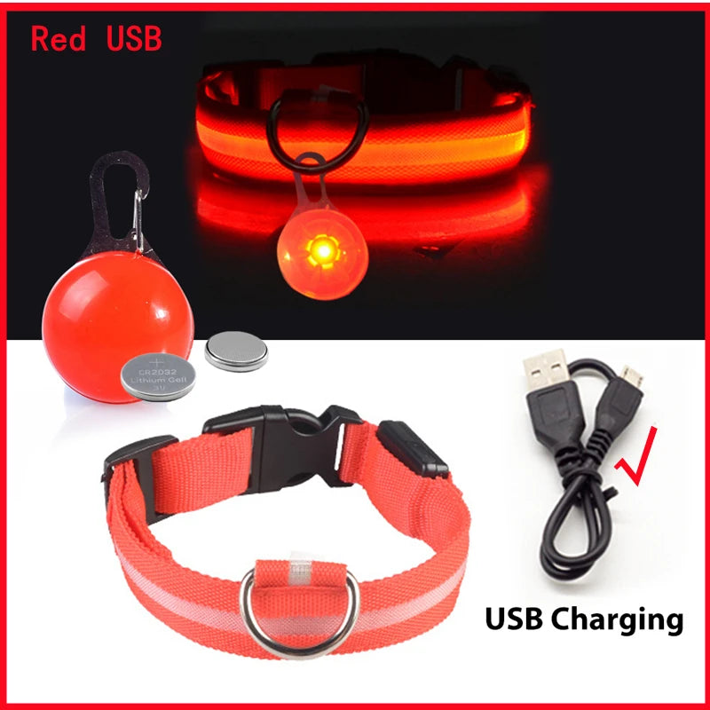 USB Rechargeable LED Dog Collar – Glowing Light-Up Safety Collar with Pendant for Small Dogs & Cats