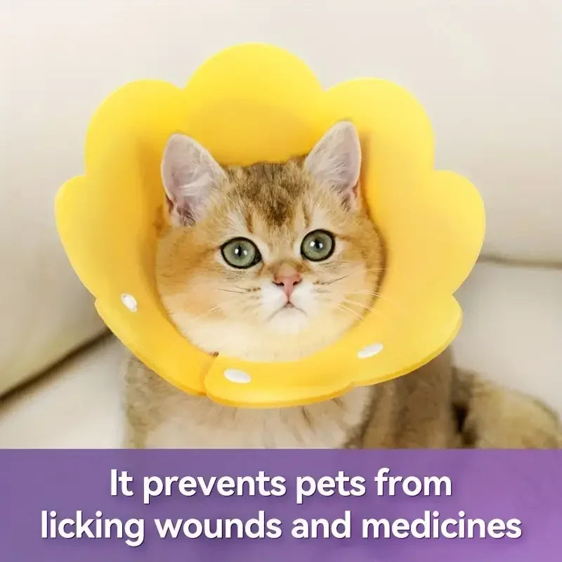 Pet Recovery Cone Collar – Anti-Bite, Anti-Lick Protective Neck Cone for Cats & Dogs
