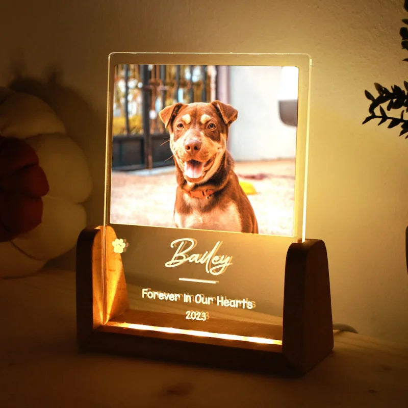Custom Pet Photo LED Night Light – Acrylic & Wooden Stand