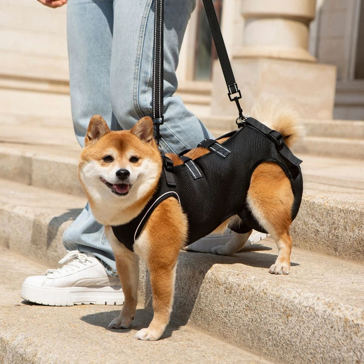 Adjustable Dog Lift Harness – Pet Support & Rehabilitation Sling for Injured Dogs