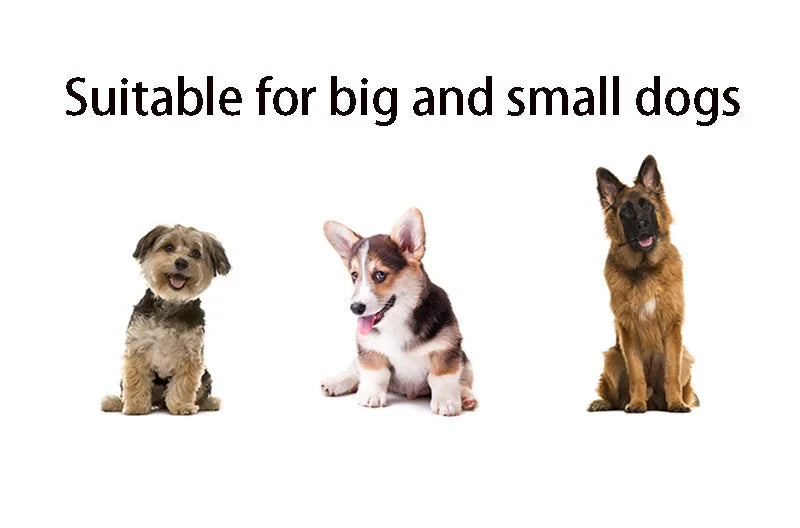 Braided Rope Dog Slip Leash – Adjustable Training Lead for Small & Medium Dogs