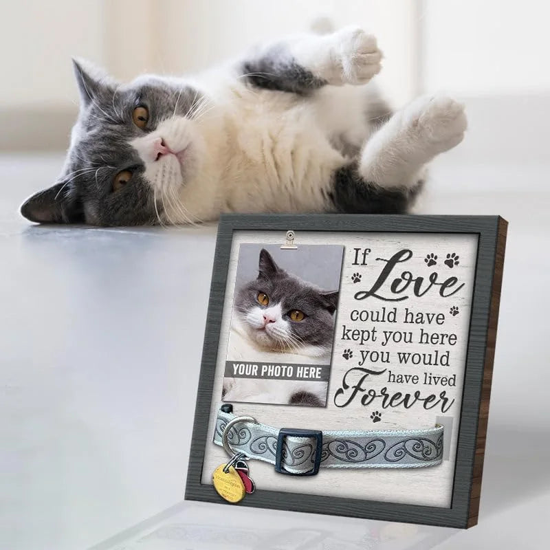 Wooden Pet Memorial Frame – Photo & Collar Display Keepsake