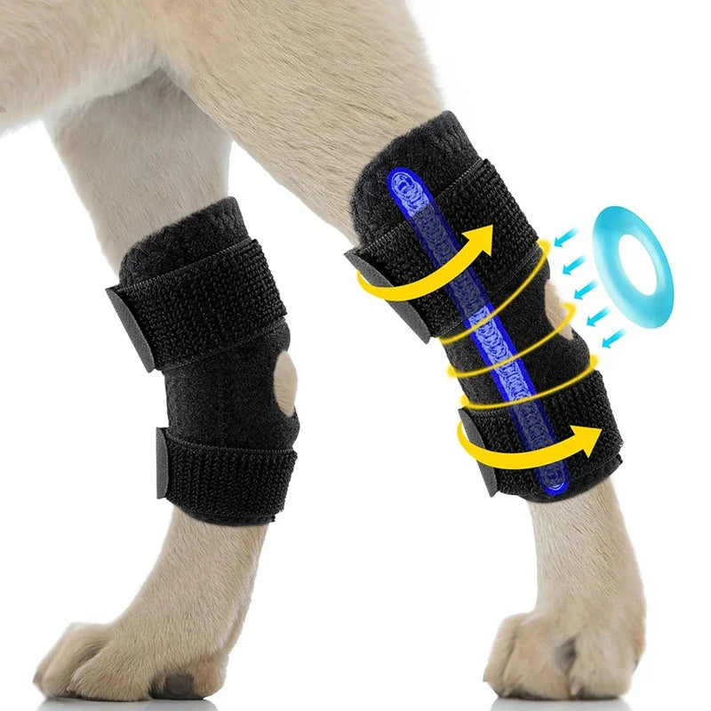Dog Leg Support Brace – Arthritis Recovery & Injury Protector for Hock Joint