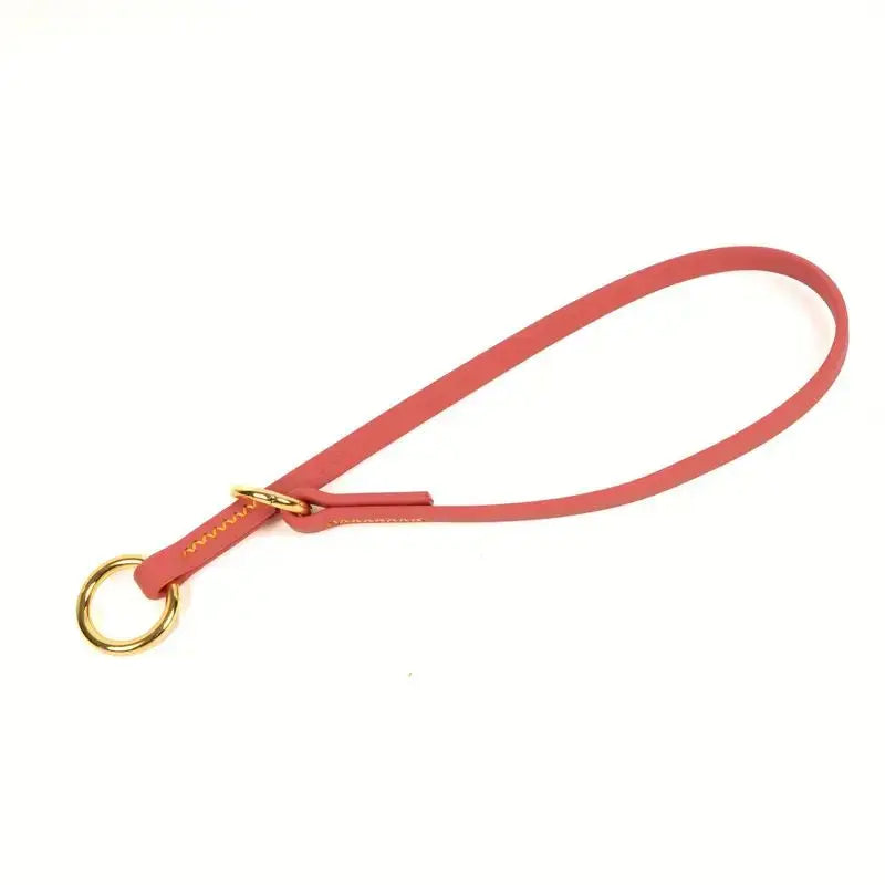 Waterproof P Chain Dog Collar – Easy-Clean Training Collar for Small & Medium Dogs