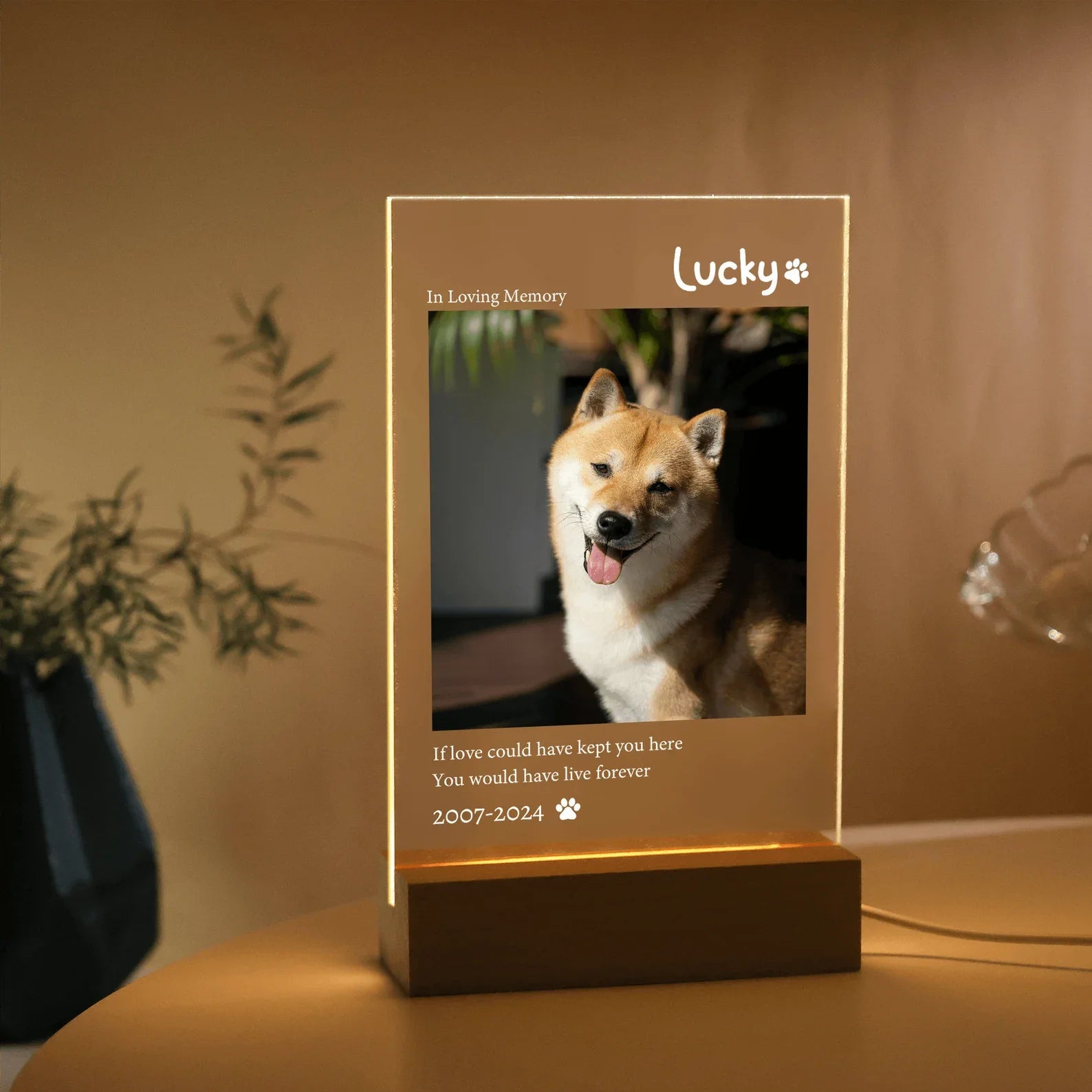 Personalized Pet Picture Plaque – Custom LED Acrylic & Wooden Stand Photo Board, Memorial Gift for Dogs & Cats