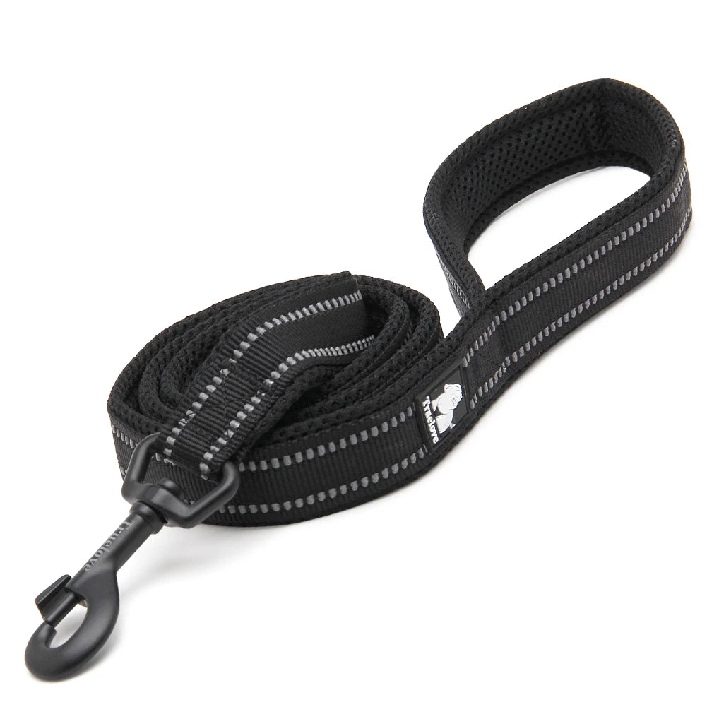 Truelove Pet Leash 200CM