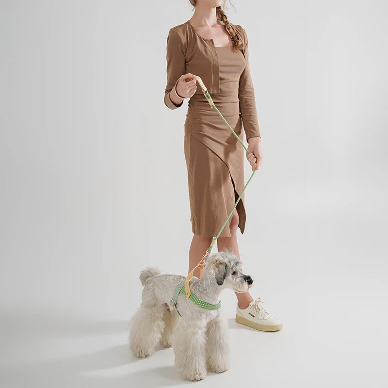 Nylon Rope Dog Leash – Durable PVC Lead for Dogs & Cats (2024 Style)