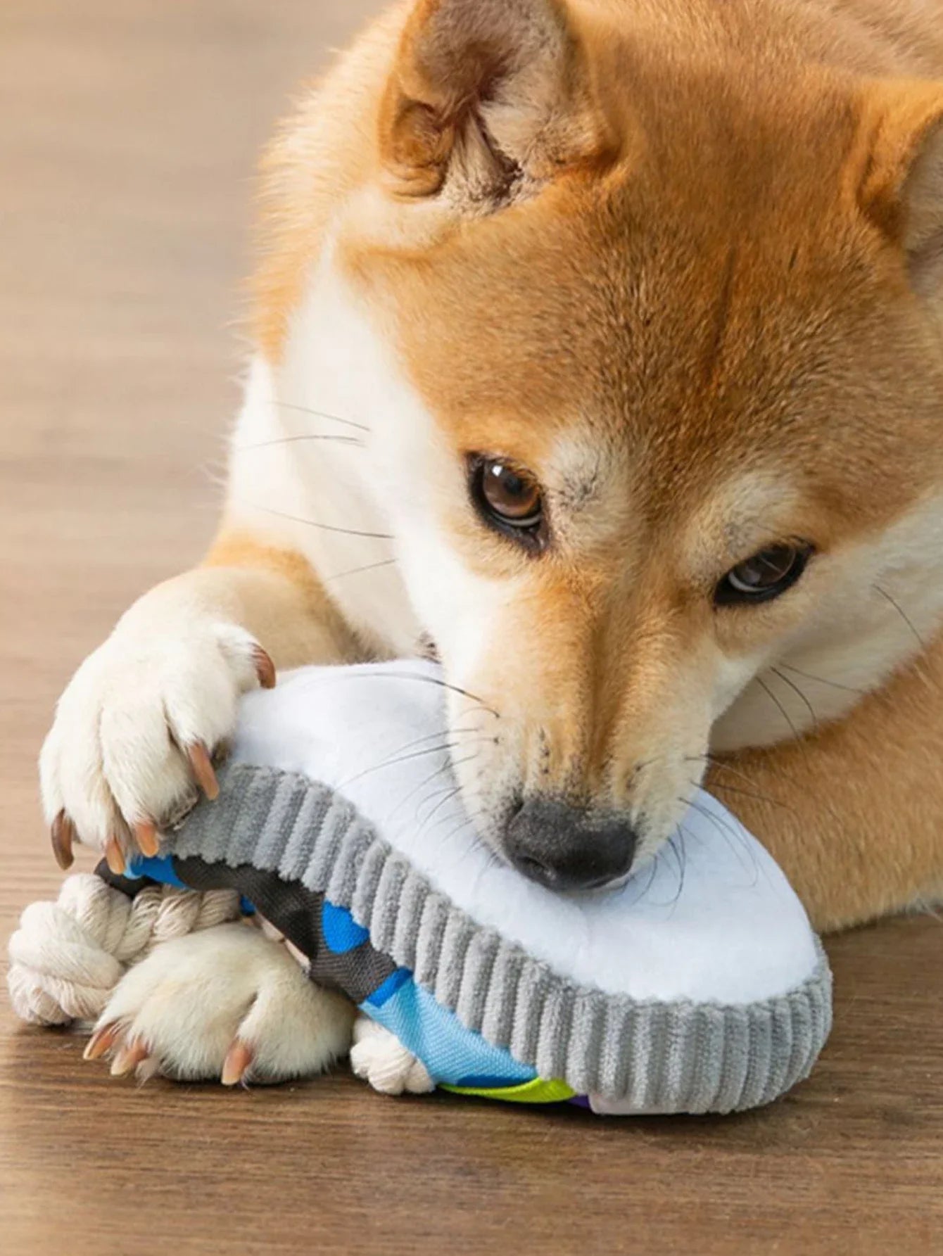 Sneaker-Shaped Dog Chew Toy – With Rope Knots & Squeaky Ball for Aggressive Chewers