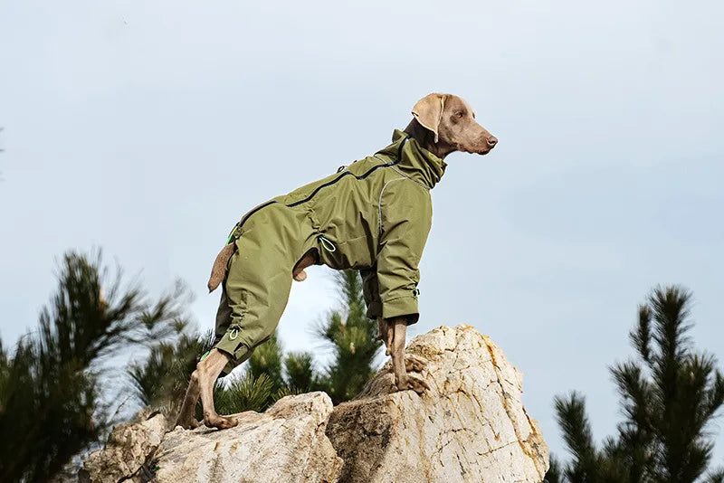 Four-Leg Waterproof Dog Jacket – Windproof Reflective Winter Suit with High Neck