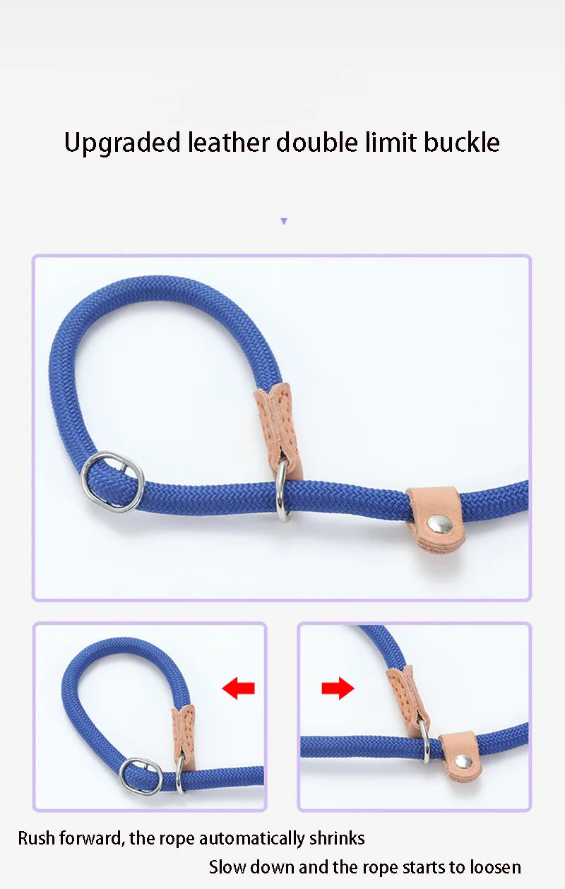 Braided Rope Dog Slip Leash – Adjustable Training Lead for Small & Medium Dogs