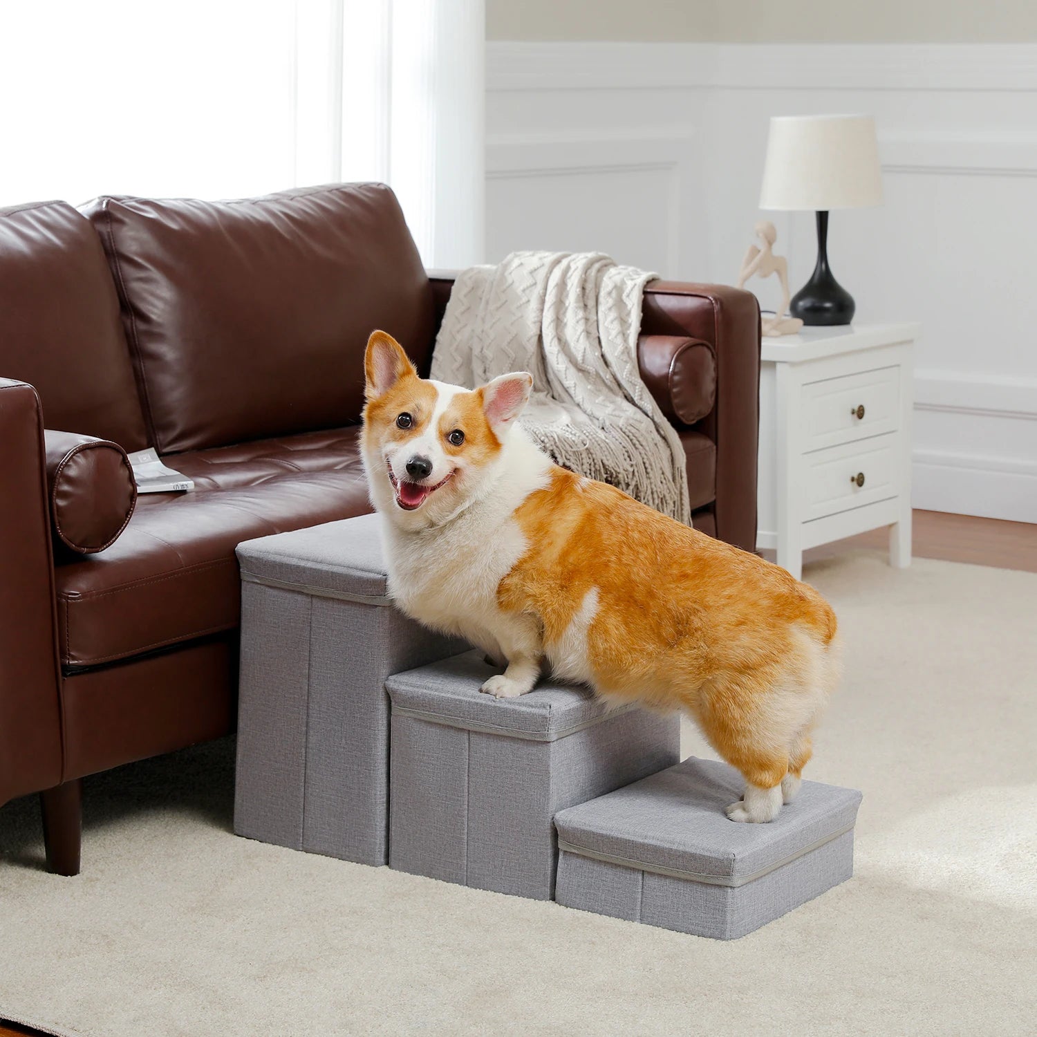 3-Tier Foldable Dog Stairs with Storage – Adjustable Height Pet Steps with Non-Slip Surface for Small & Senior Dogs and Cats (Indoor Use)