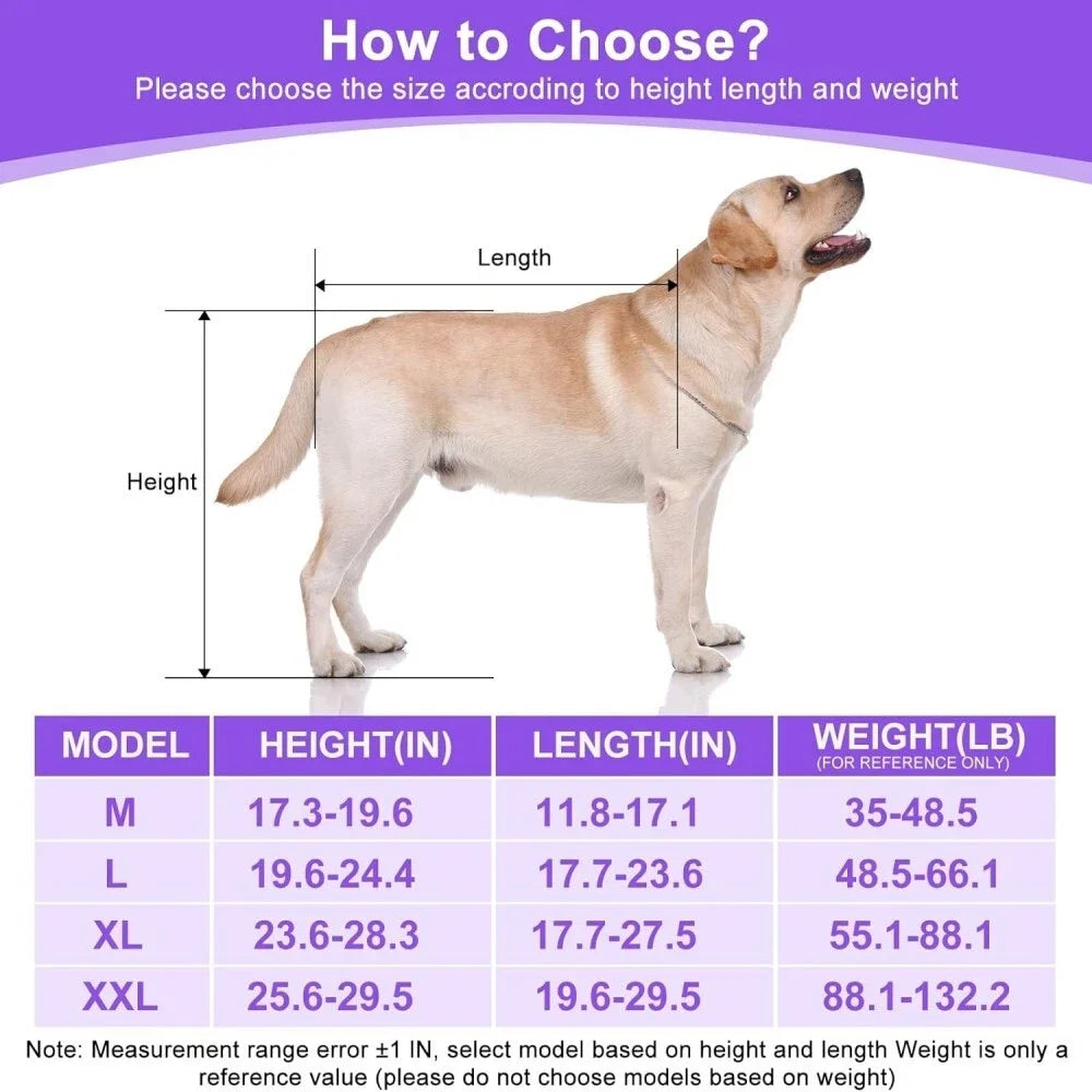 Dog Wheelchair for Back Legs – Lightweight Aluminum Frame with All-Terrain Wheels | Mobility Support for Large Dogs