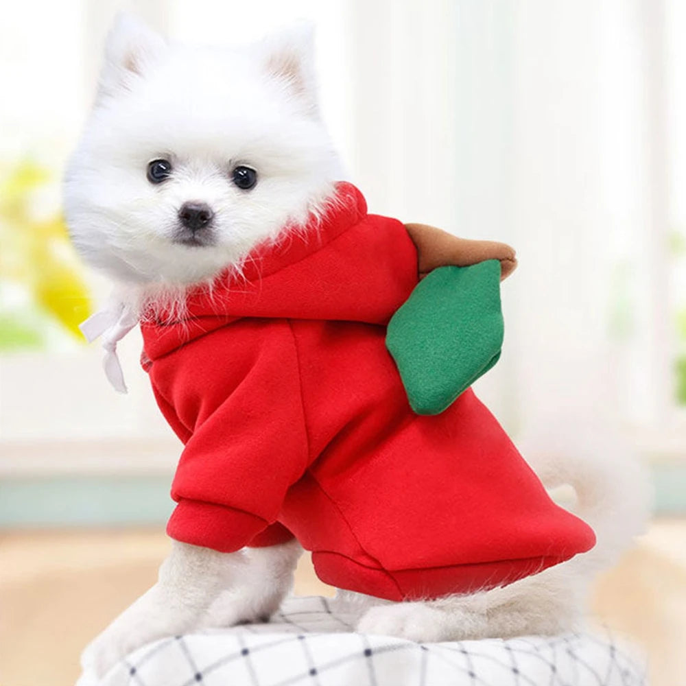 Fruit Dog Hoodie – Warm Fleece Costume for Small Dogs & Cats