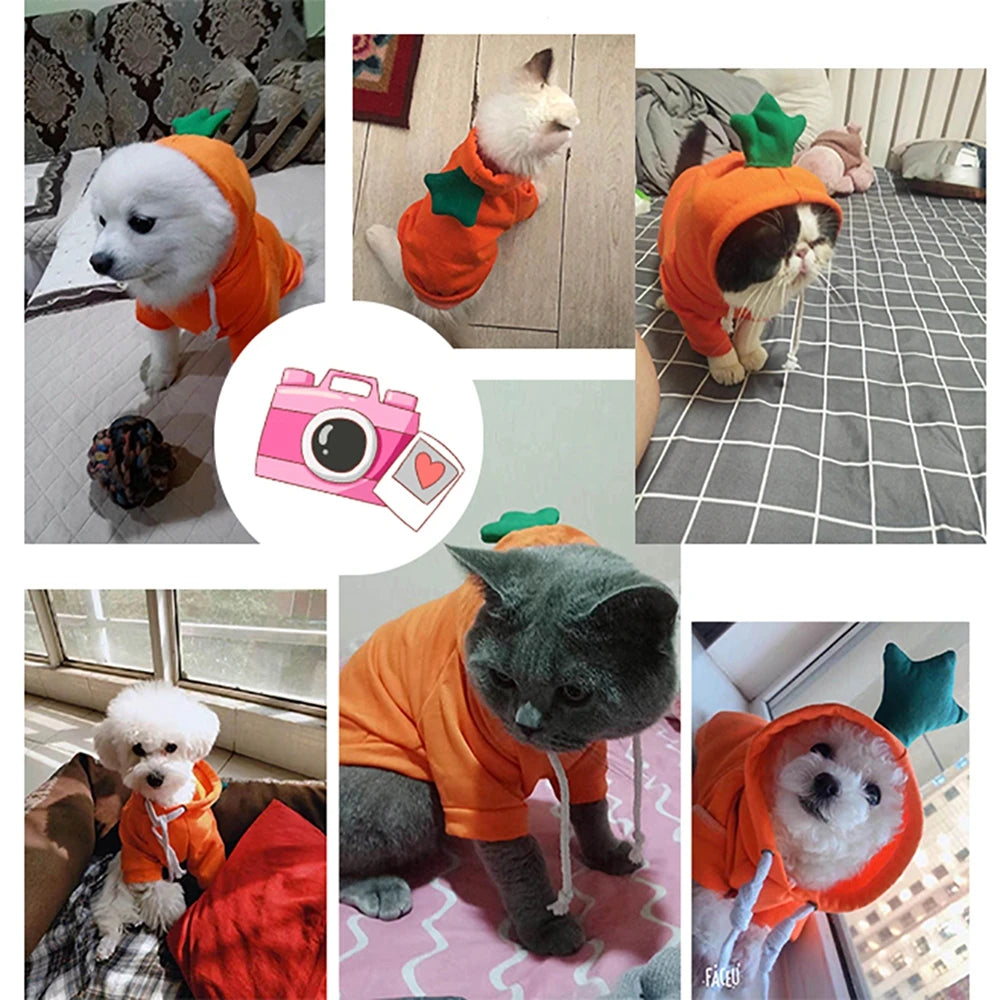 Fall Dog Hoodie – Plush Coat Sweatshirt for Small Dogs & Cats