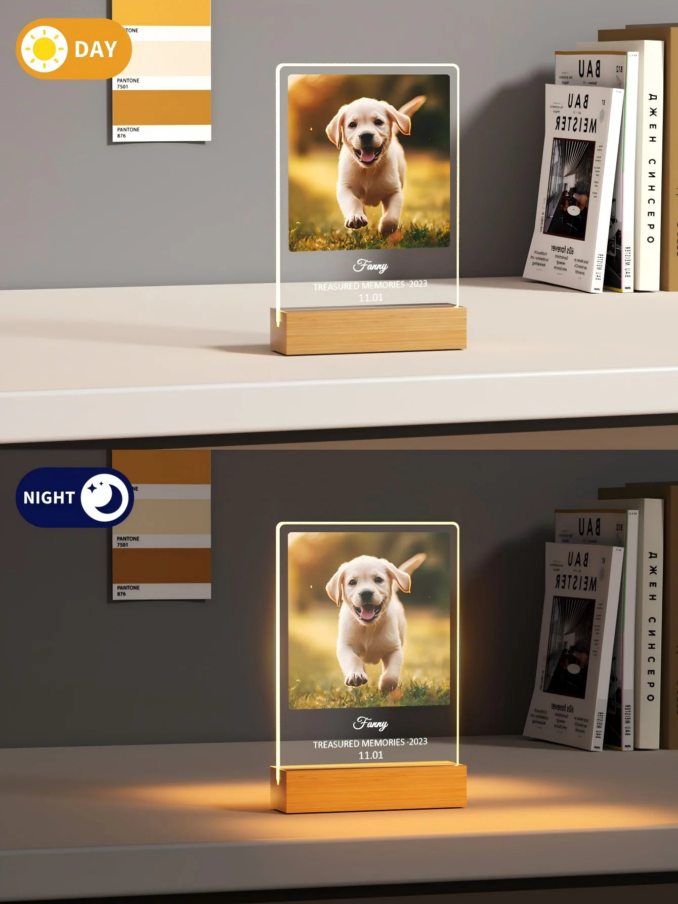 Custom Pet Memorial Nightlight – Personalized Pet Photo & Name Keepsake
