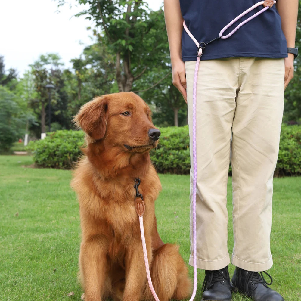 Double Head Crossbody Dog Leash – Training & Walking Rope Lead for Dogs & Cats