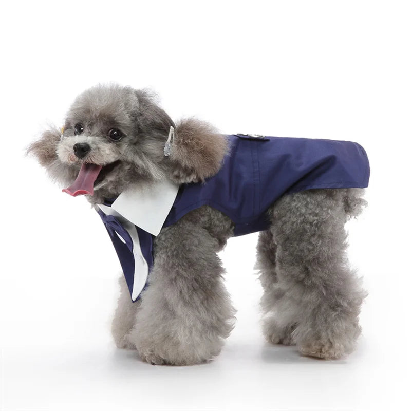 Luxury Dog Tailcoat Suit – Formal Wedding Outfit for Small Dogs (Chihuahua, Maltese, Yorkie)