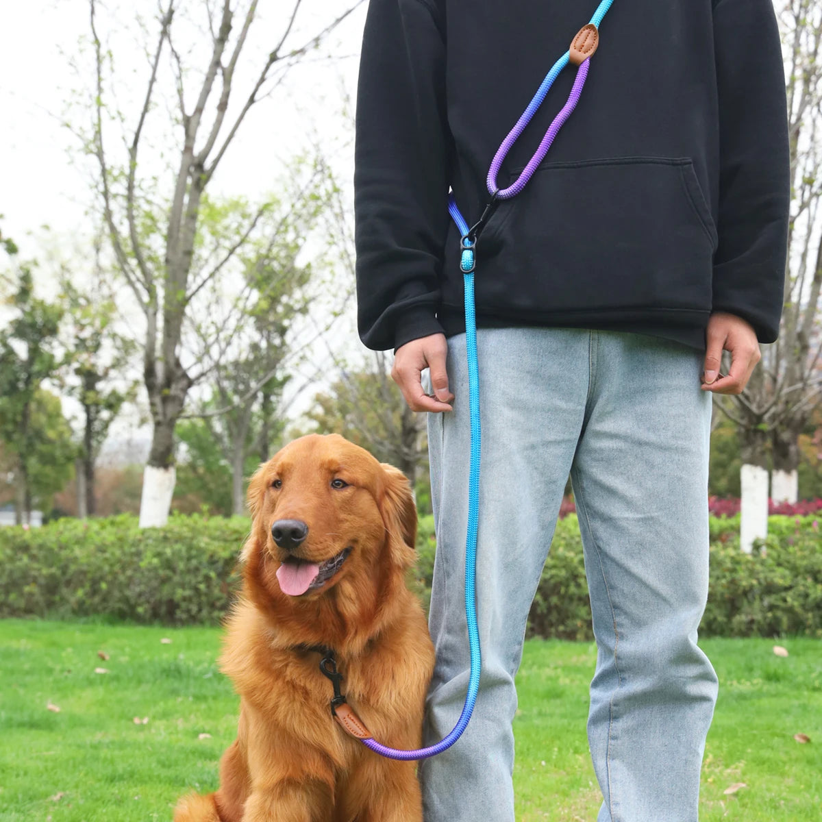 Gradient Rope Dog Leash – Durable Outdoor Lead with Comfortable Handle