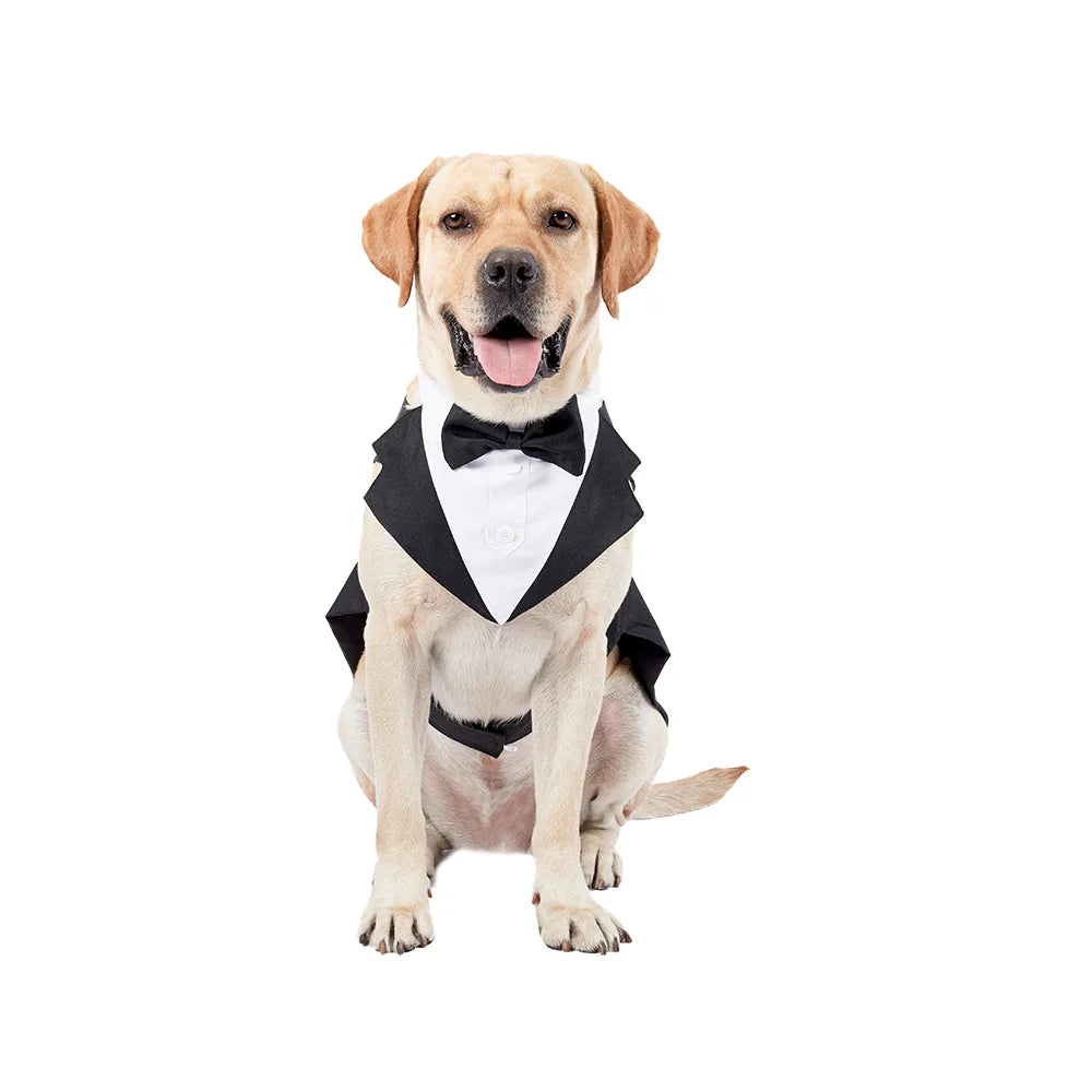 Pet Tuxedo Suit – Formal Wedding & Party Outfit for Dogs & Cats