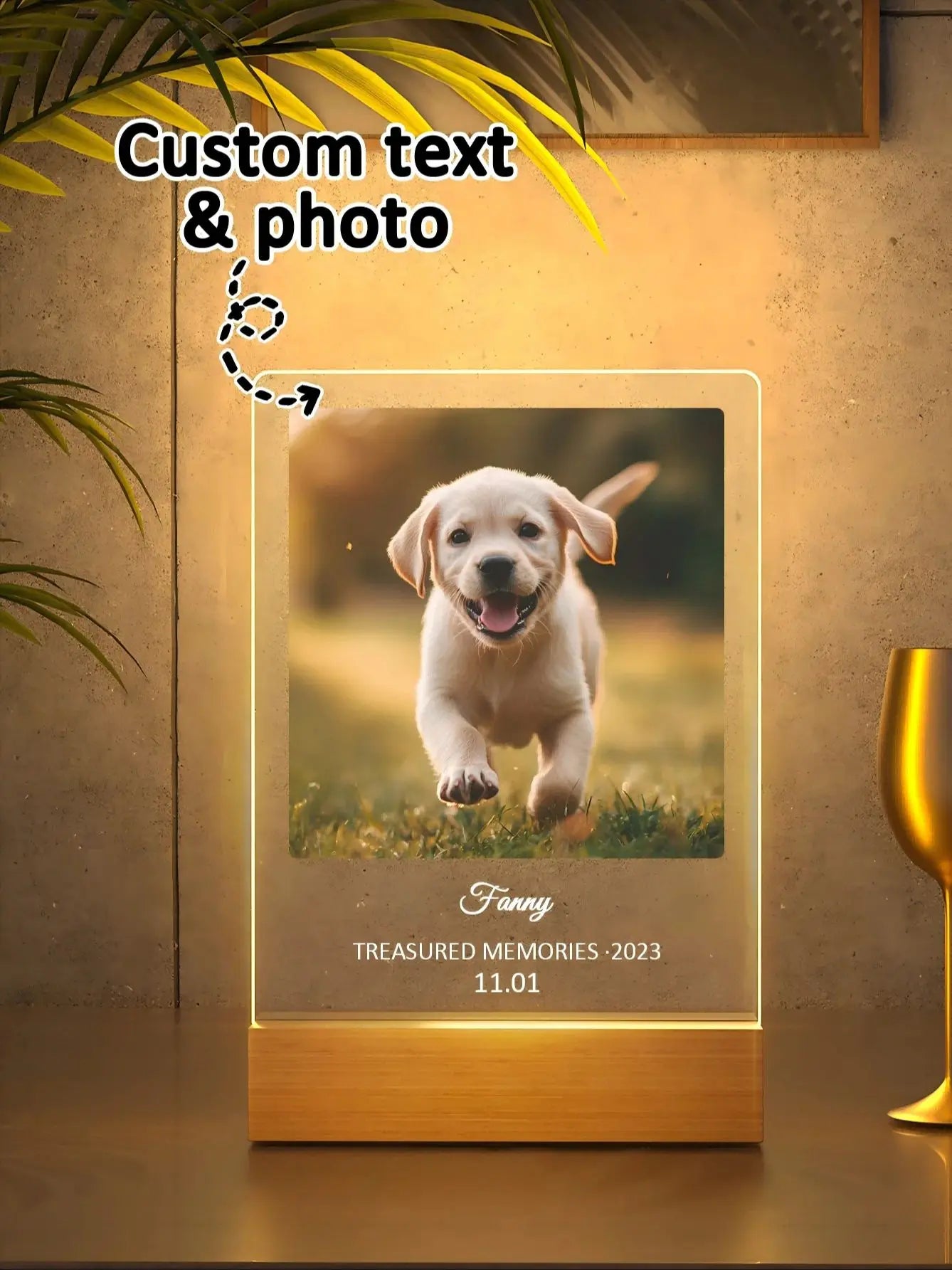 Custom Pet Memorial Nightlight – Personalized Pet Photo & Name Keepsake