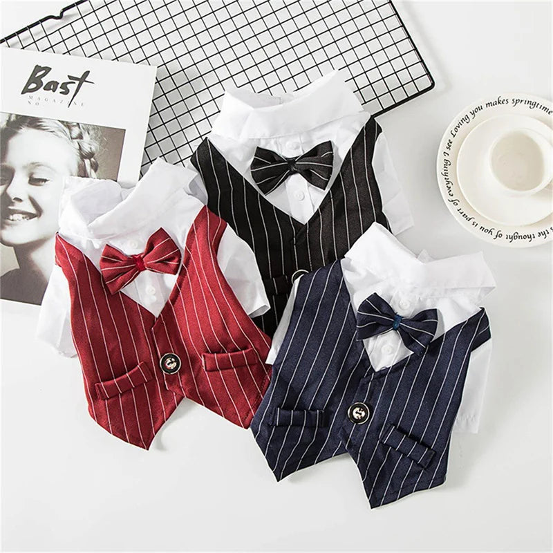 Dog Formal Shirt with Bow Tie – Stylish Tuxedo Suit for Small Dogs & Cats (Wedding & Party Outfit)