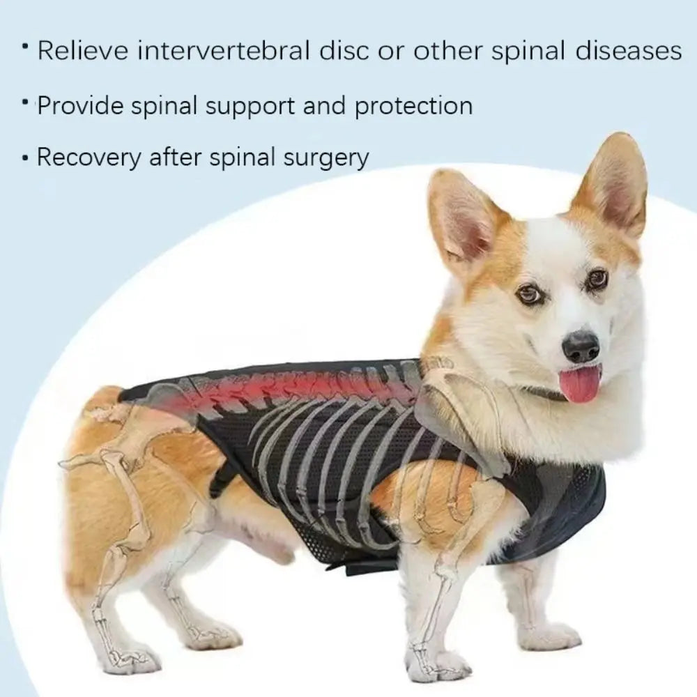 Black Dog Back Support Vest – Adjustable Orthopedic Brace for Injury Recovery