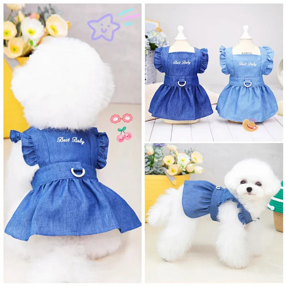 Rainbow Dog Dress – Summer Pet Outfit with Rookie Letter Print
