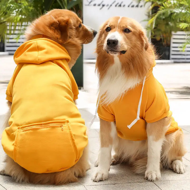Dog Sport Hoodie – Warm Autumn & Winter Sweatshirt for Medium & Large Dogs