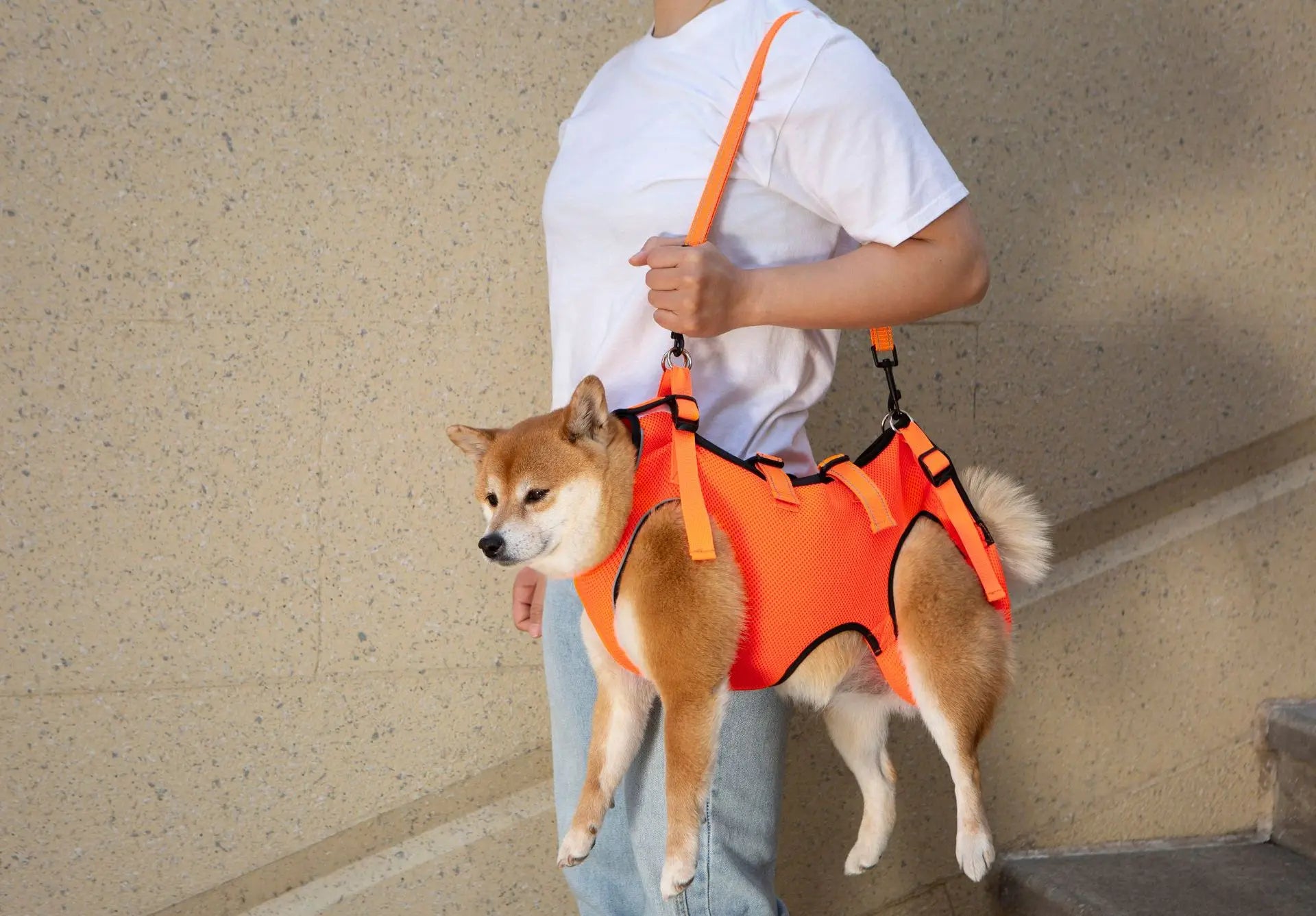 Adjustable Dog Lift Harness – Pet Support & Rehabilitation Sling for Injured Dogs