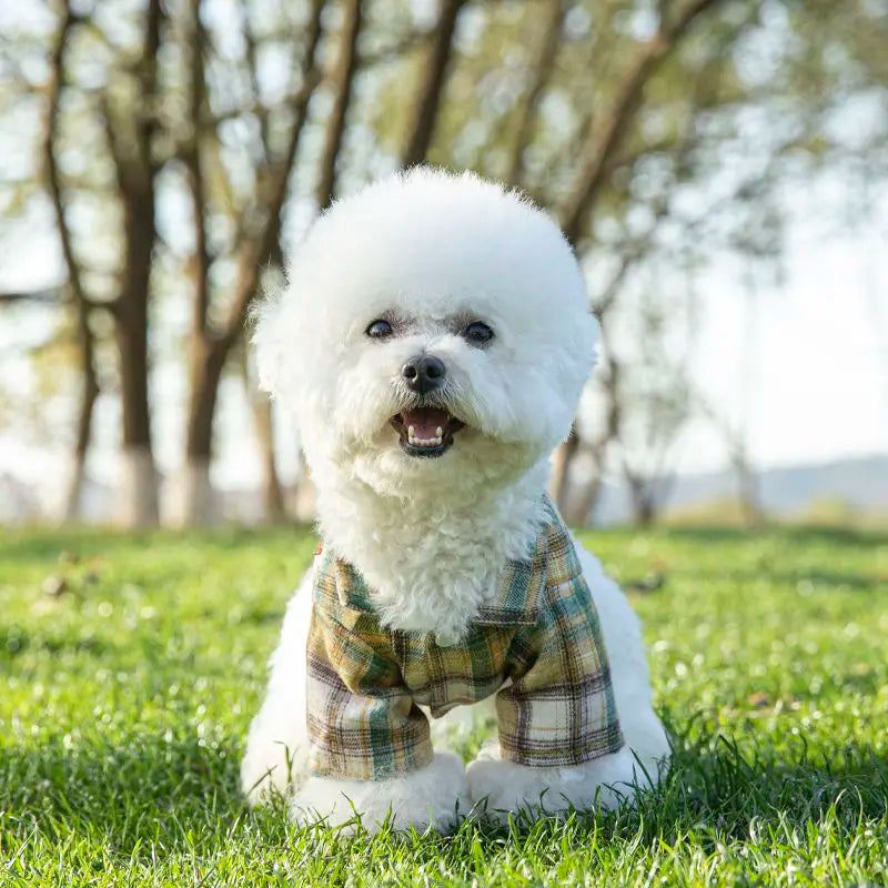 British Plaid Summer Dog Shirt – Lightweight Vest for Small Dogs