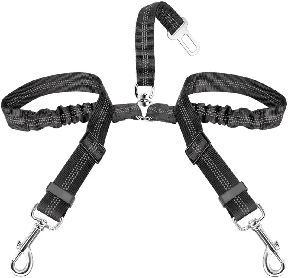 Double Dog Seat Belt – Adjustable Y-Shape Vehicle Safety Leash with Elastic Bungee & Reflective No-Tangle Design