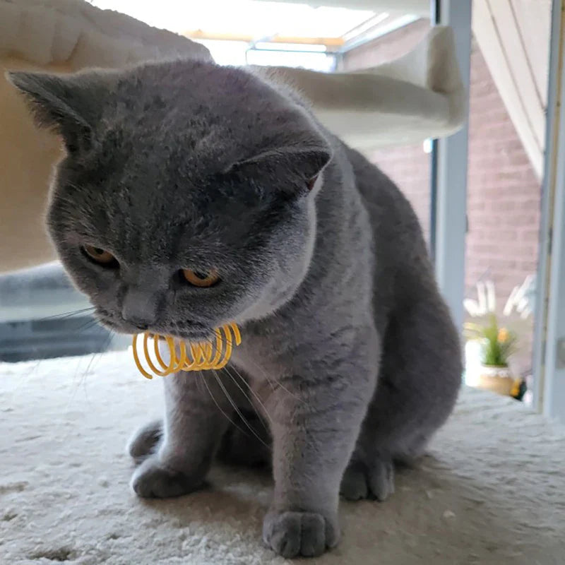 Colorful Cat Spring Toys – Durable Coil Play for Kittens