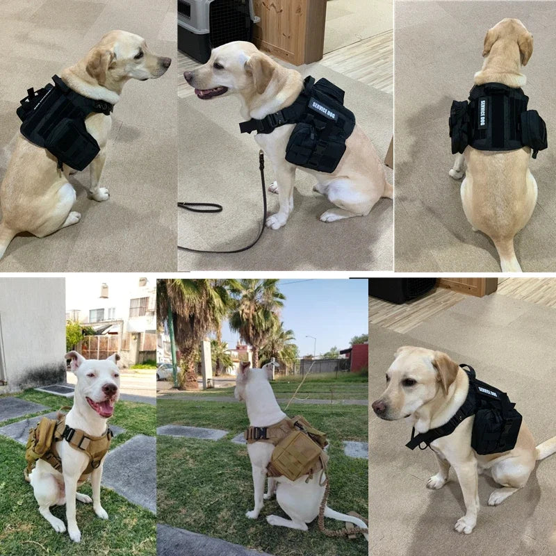 Tactical Dog Harness & Leash Set – Military-Grade Training Vest for All Breeds (German Shepherd, Golden Retriever & More)