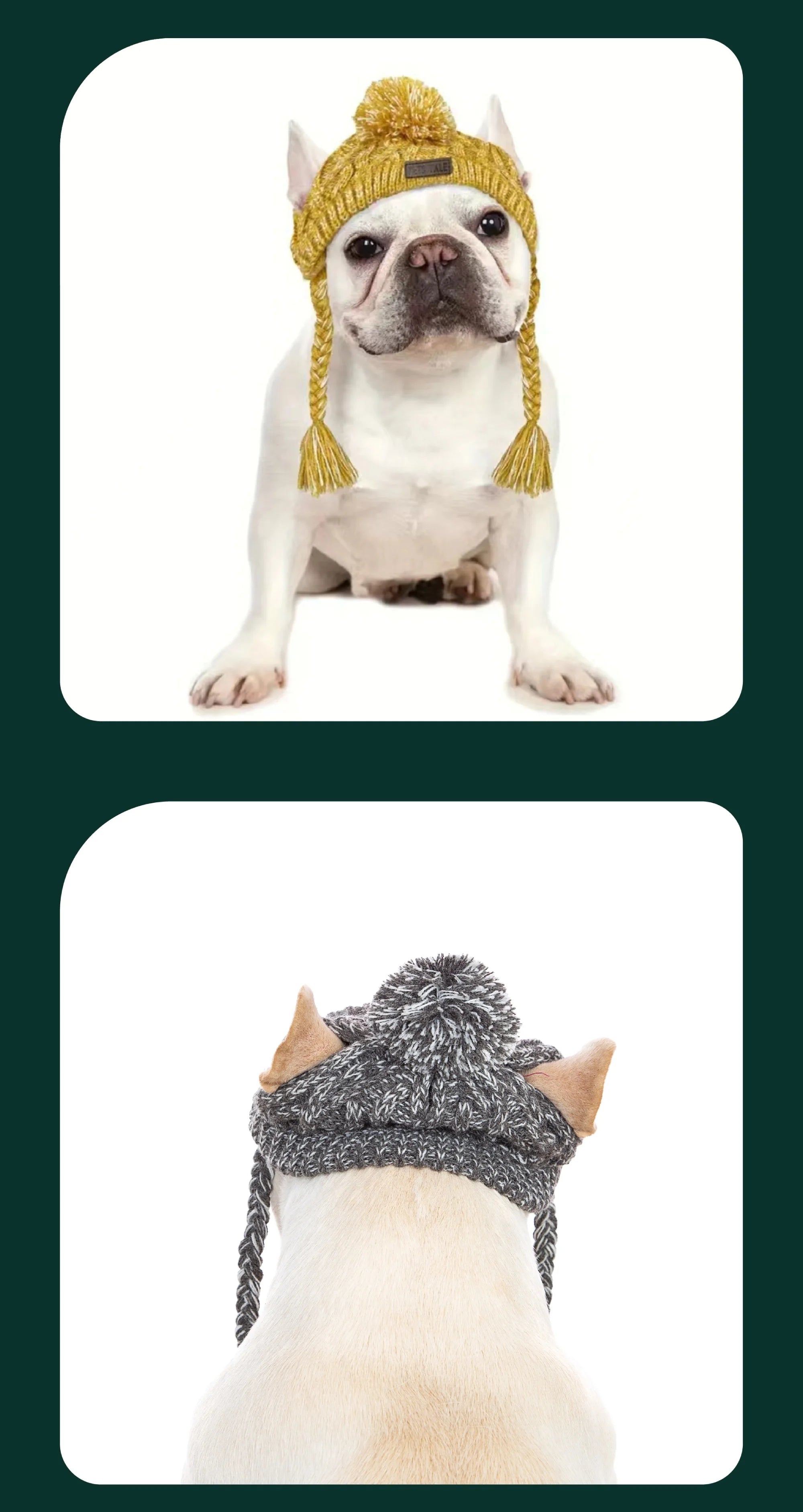 Winter Knitted Dog Hat – Warm, Windproof Pet Headwear