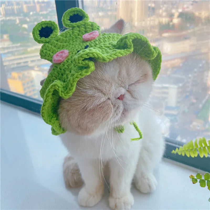 Knitted Cat Hat – Autumn Winter Pet Hat for Cats, Kittens & Small Dogs