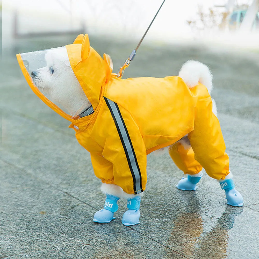 Bear Dog Raincoat – Full Body Waterproof Puppy Jacket with Hood