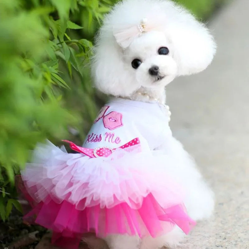 Princess Dog Dress – Lace Tutu Outfit for Small Dogs, Chihuahua & Puppy Apparel