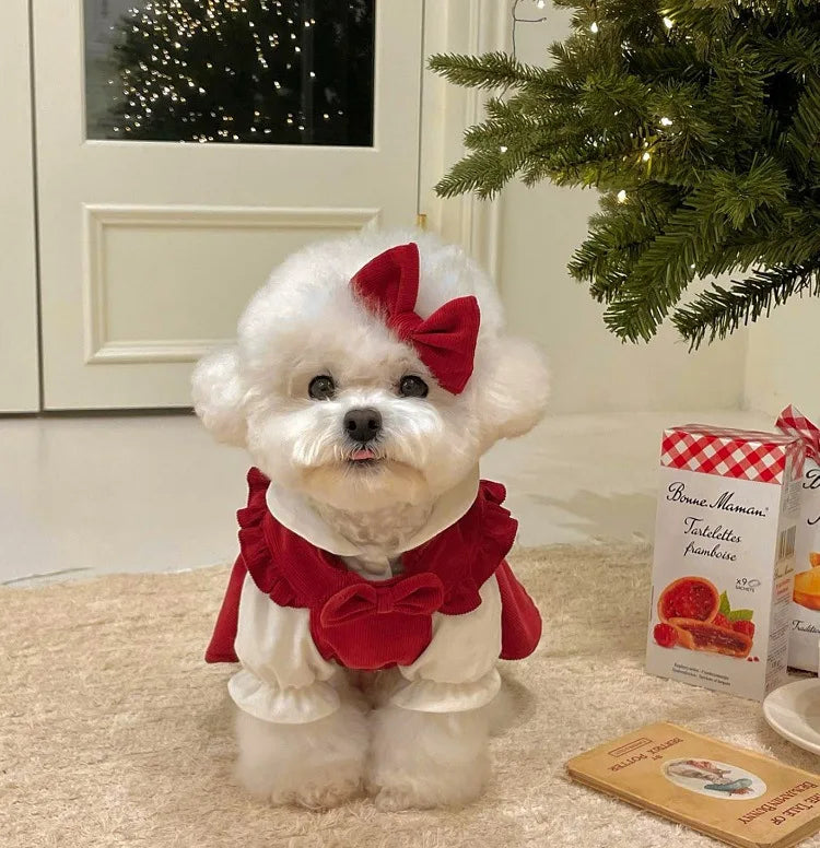 Winter Puppy Princess Dress – Warm Bow Knot Dog Dress Set with Hair Clip