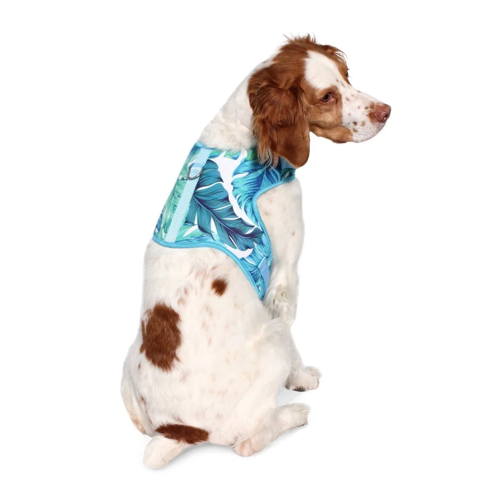Adjustable Tropical Leaf Dog Harness – Medium Size, Stylish & Secure Walking Vest with D-Ring for Training & Control