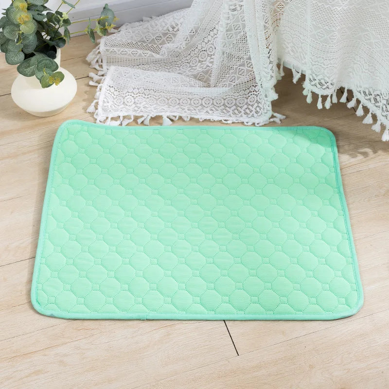 Reusable Dog Pee Pad Blanket – Absorbent Washable Training Pad & Bed Protector for Pets