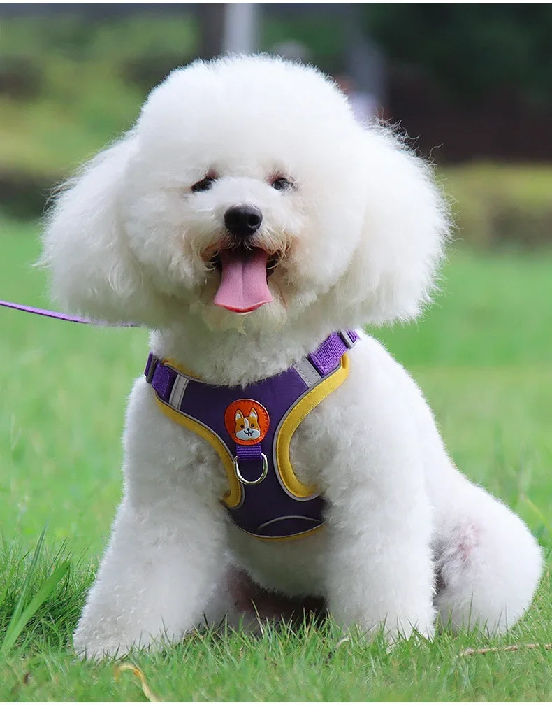 No Pull Harness & Leash Set – Adjustable Reflective Pet Vest for Small Dogs & Cats