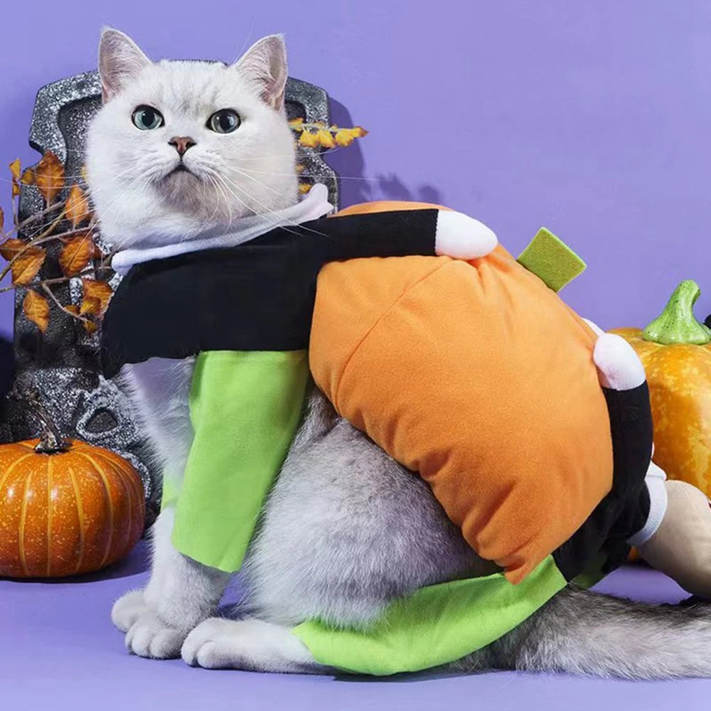 Pumpkin Cosplay Costume – Funny Halloween & Christmas Outfit for Dogs & Cats