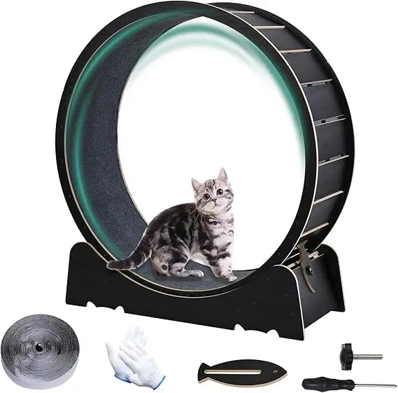 Large Cat Exercise Wheel – 40" Indoor Running Treadmill for Cats