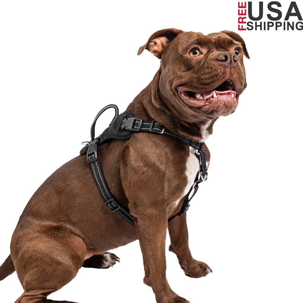 No-Pull Comfort Harness for Medium Dogs – Padded, Reflective with Front & Back Leash Attachments