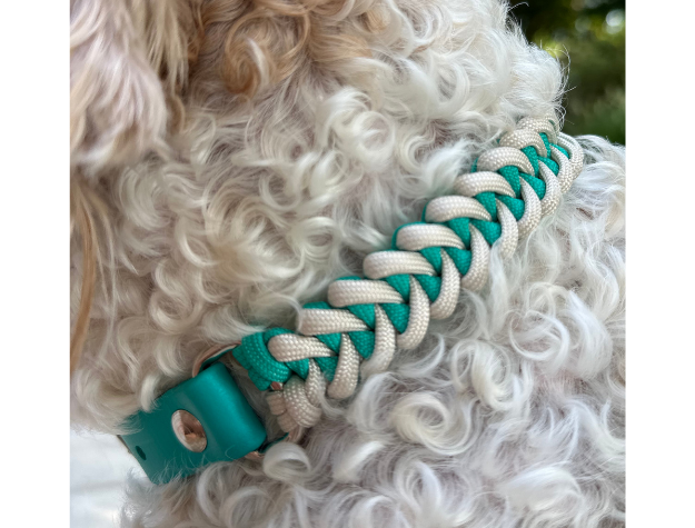 Fishtail Hand Braided Dog Collar in Teal & Cream