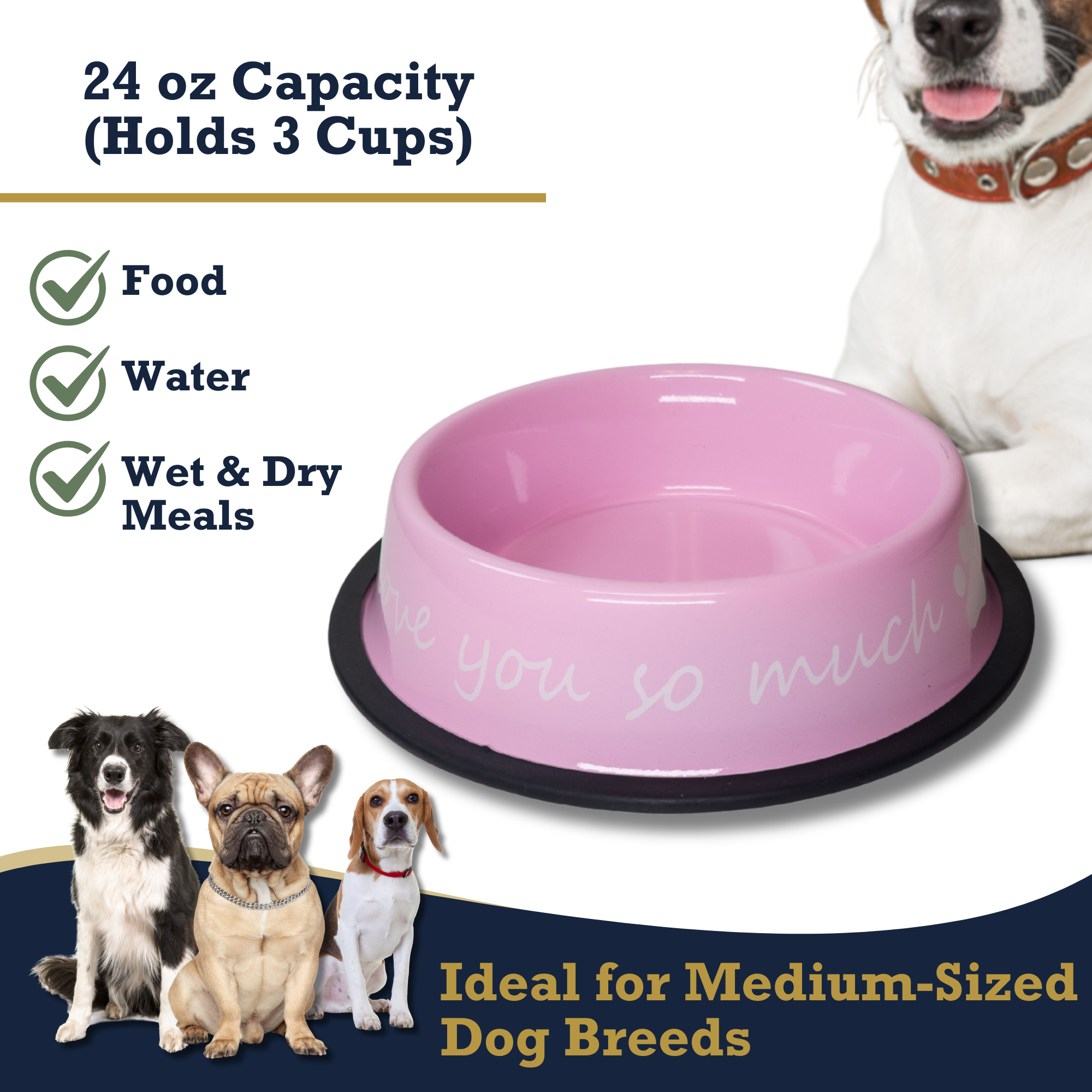 I LOVE YOU SO MUCH Modern Stainless Steel Dog Bowl – 24oz