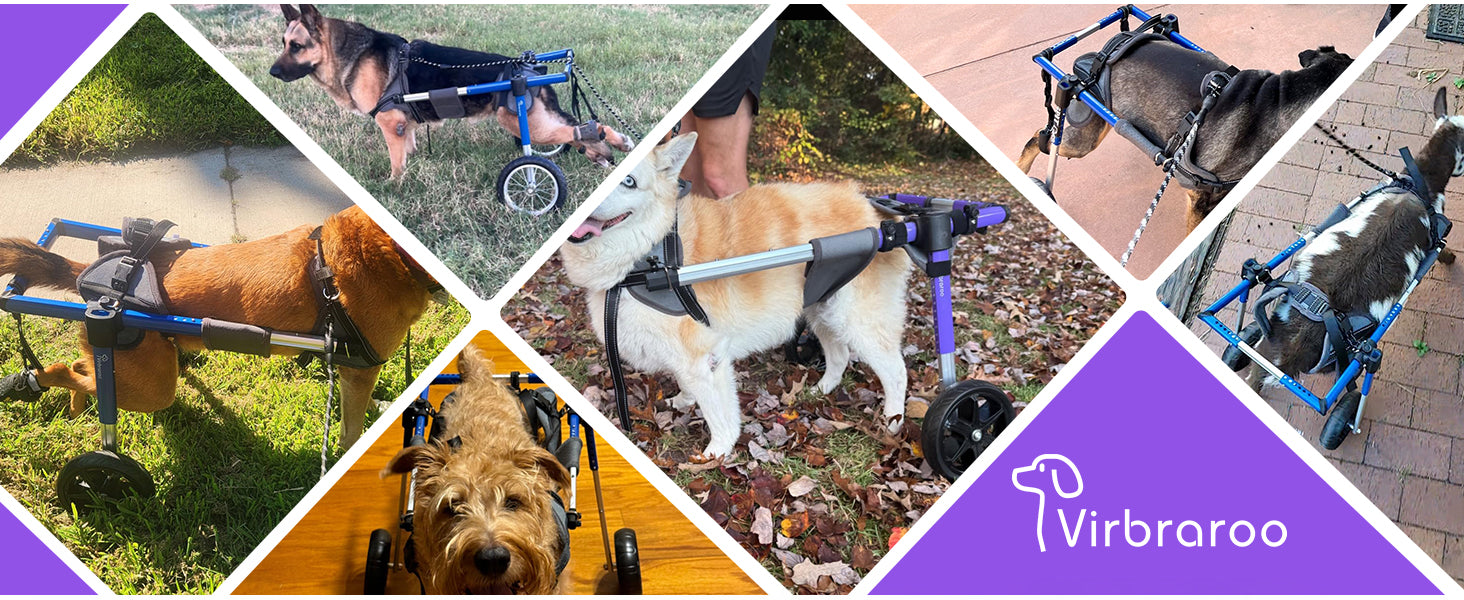 Dog Wheelchair for Back Legs – Lightweight Aluminum Frame with All-Terrain Wheels | Mobility Support for Large Dogs